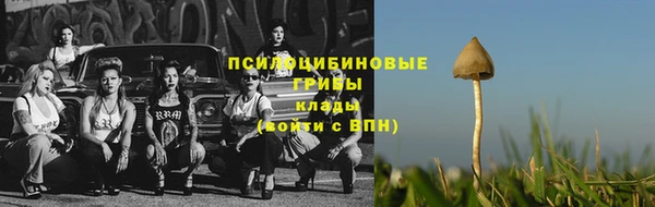 твердый Заводоуковск