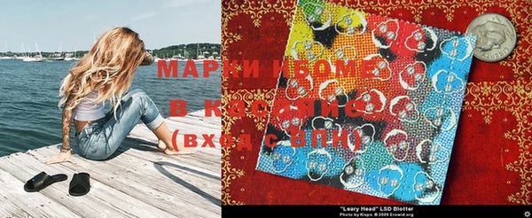 ГАЛЛЮЦИНОГЕННЫЕ ГРИБЫ Заволжск