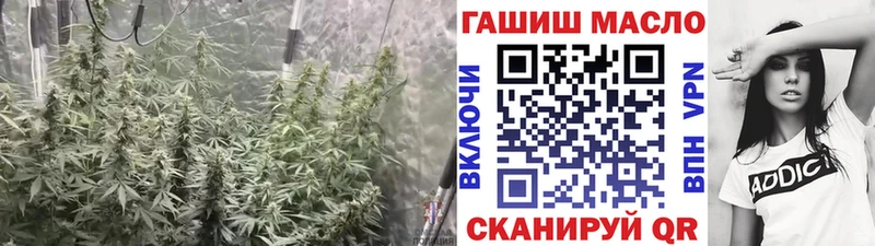 Купить закладки  Адыгейск  ТГК вейп 